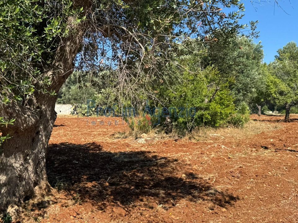 Helårsgrund i Carovigno, Brindisi - foto 4